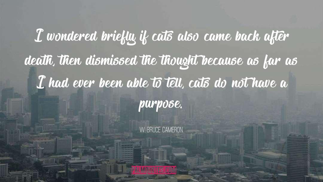 Dismissed quotes by W. Bruce Cameron