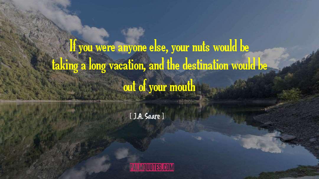 Disney Vacation Funny quotes by J.A. Saare