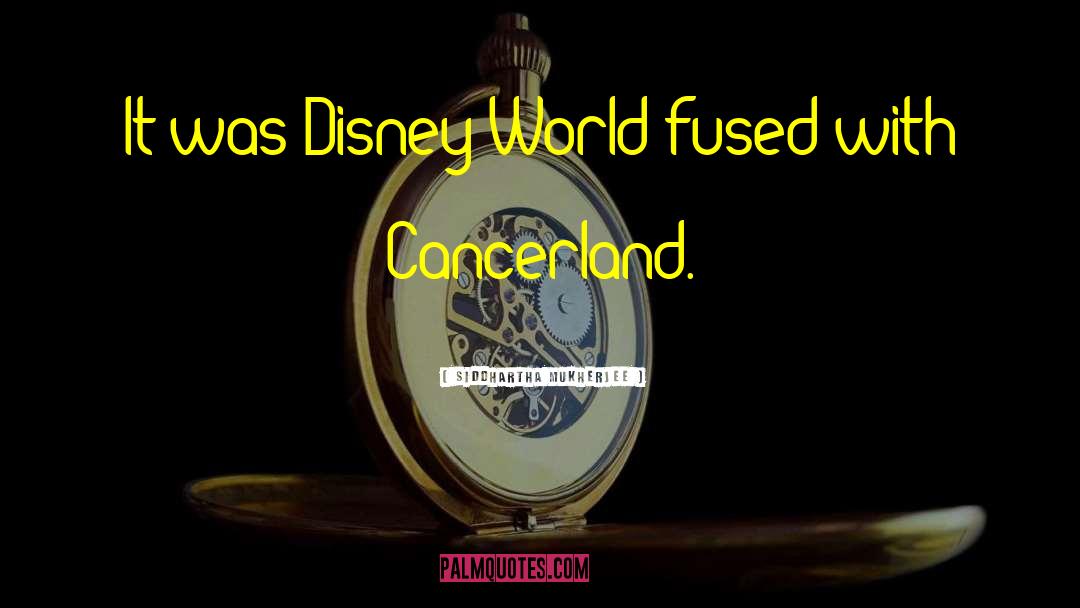 Disney World quotes by Siddhartha Mukherjee