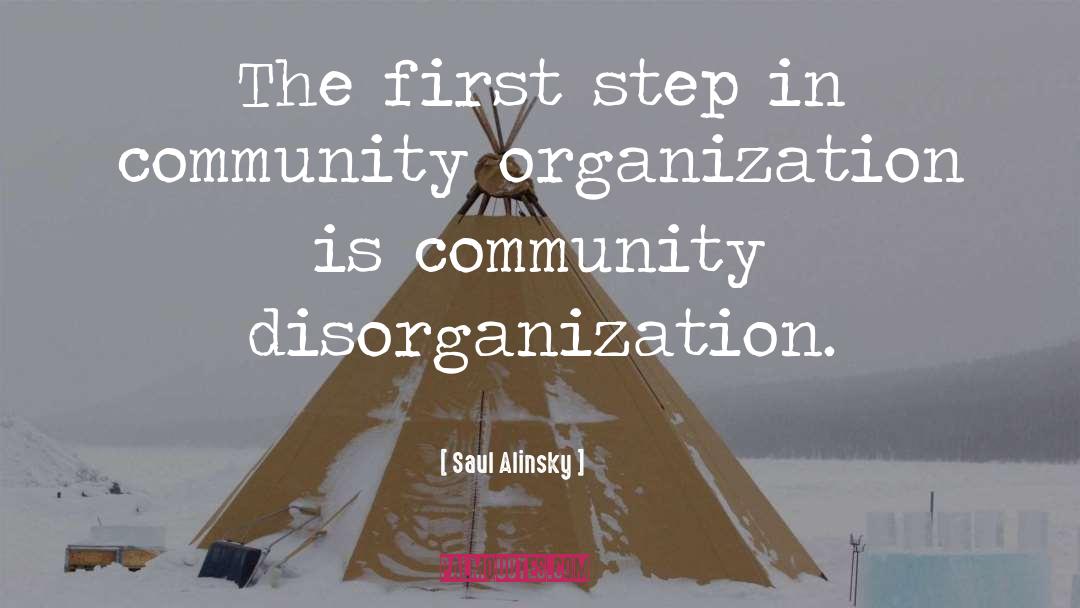 Disorganization quotes by Saul Alinsky