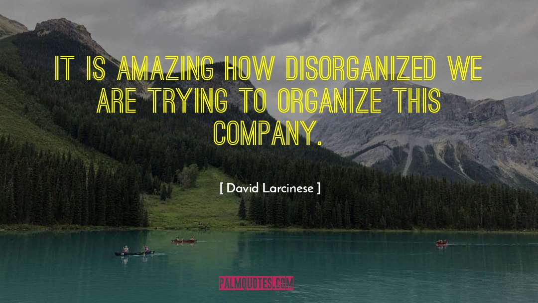 Disorganized quotes by David Larcinese