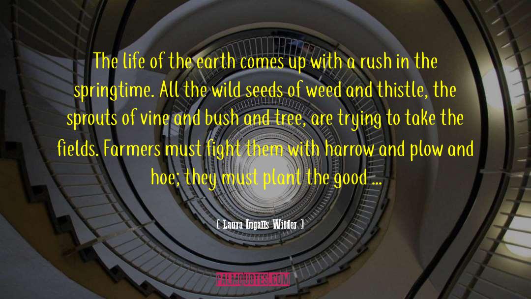 Dispersal Of Seeds quotes by Laura Ingalls Wilder