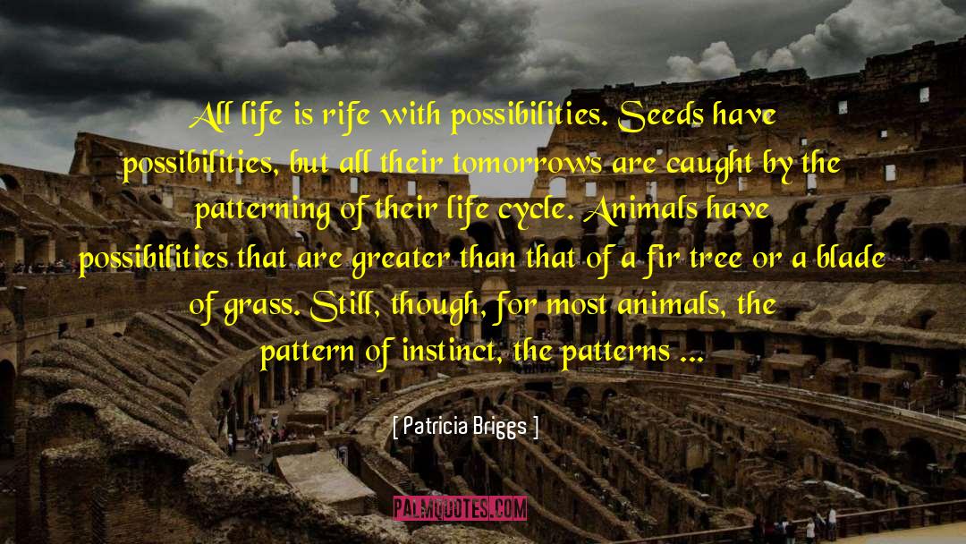Dispersal Of Seeds quotes by Patricia Briggs