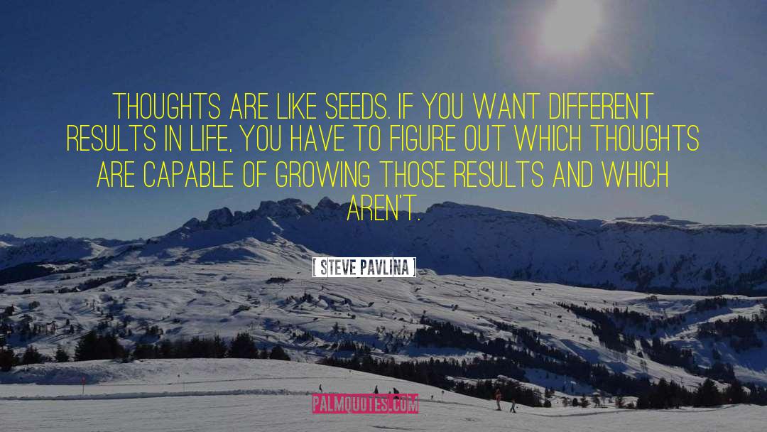 Dispersal Of Seeds quotes by Steve Pavlina