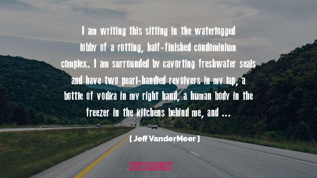 Displaced quotes by Jeff VanderMeer