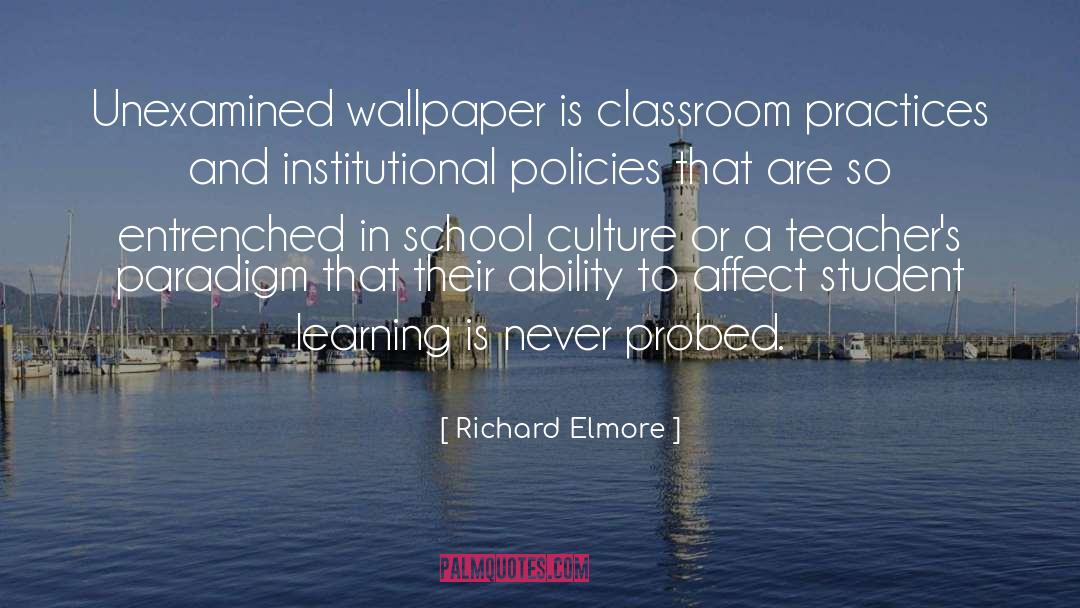 Disproportionality Education quotes by Richard Elmore