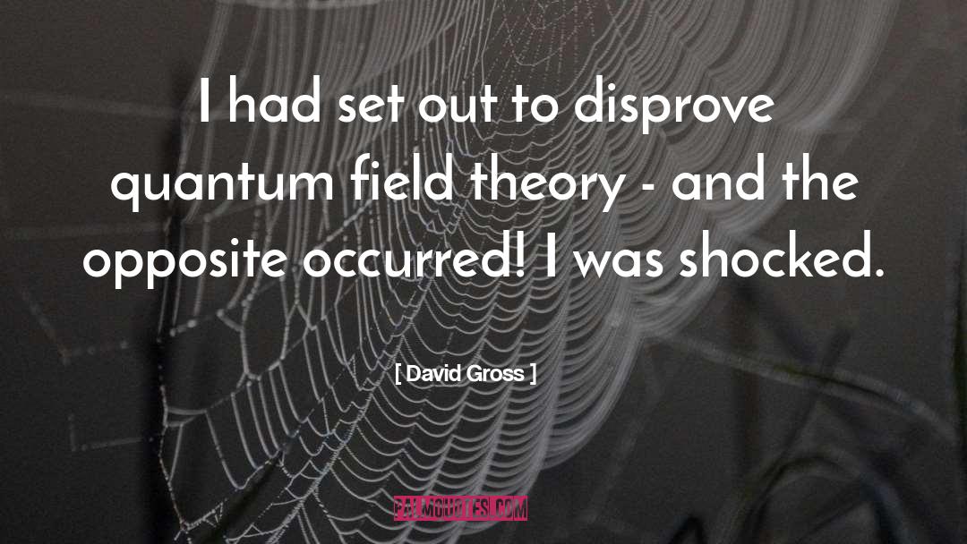 Disprove quotes by David Gross