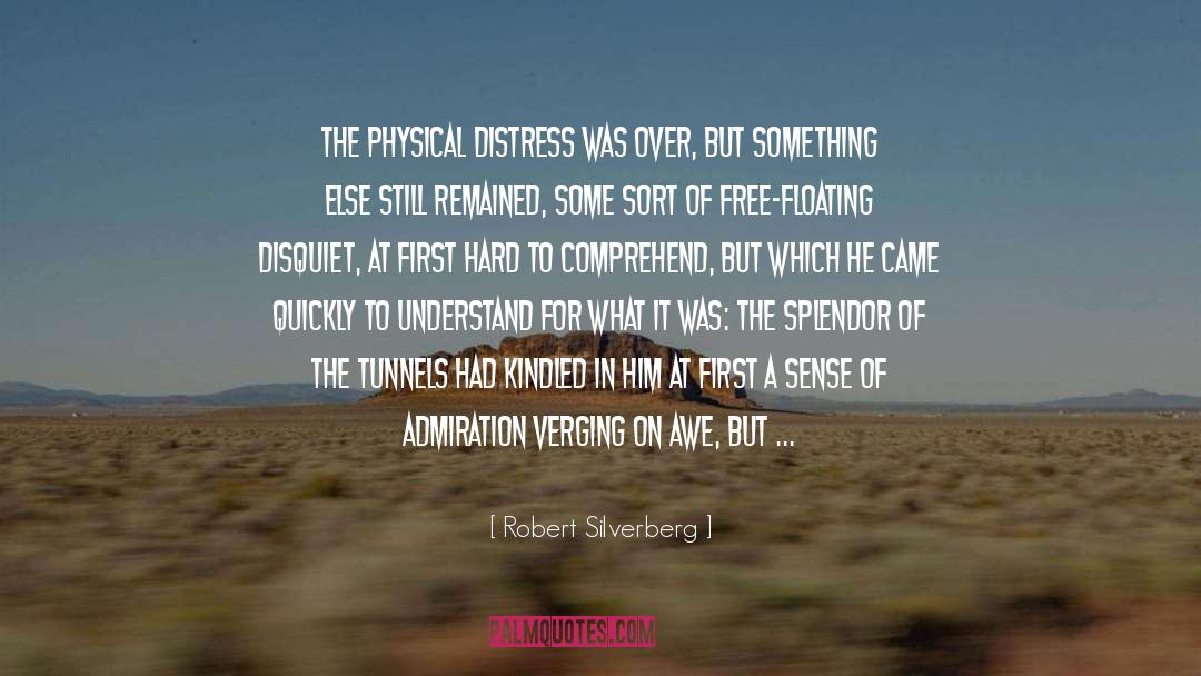 Disquiet quotes by Robert Silverberg