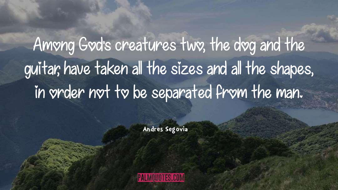 Disreputable Dog quotes by Andres Segovia