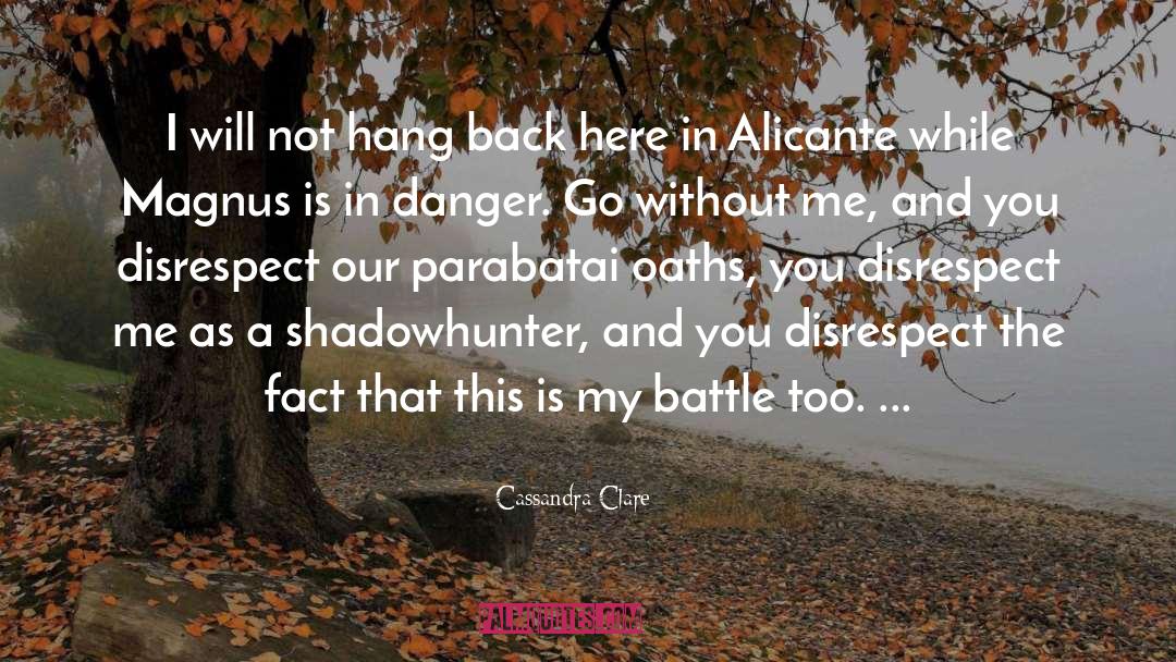 Disrespect quotes by Cassandra Clare
