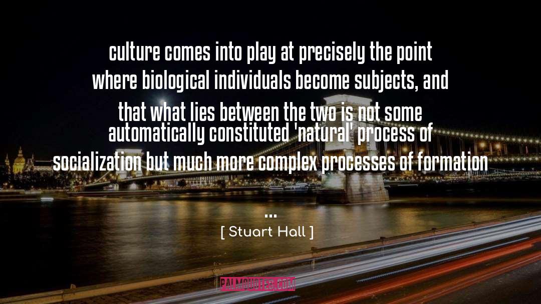 Diss quotes by Stuart Hall