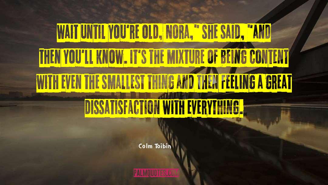 Dissatisfaction quotes by Colm Toibin