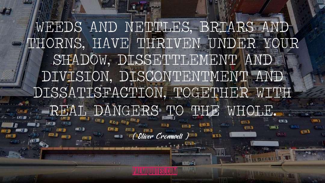 Dissatisfaction quotes by Oliver Cromwell