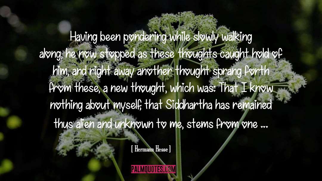 Dissect quotes by Hermann Hesse
