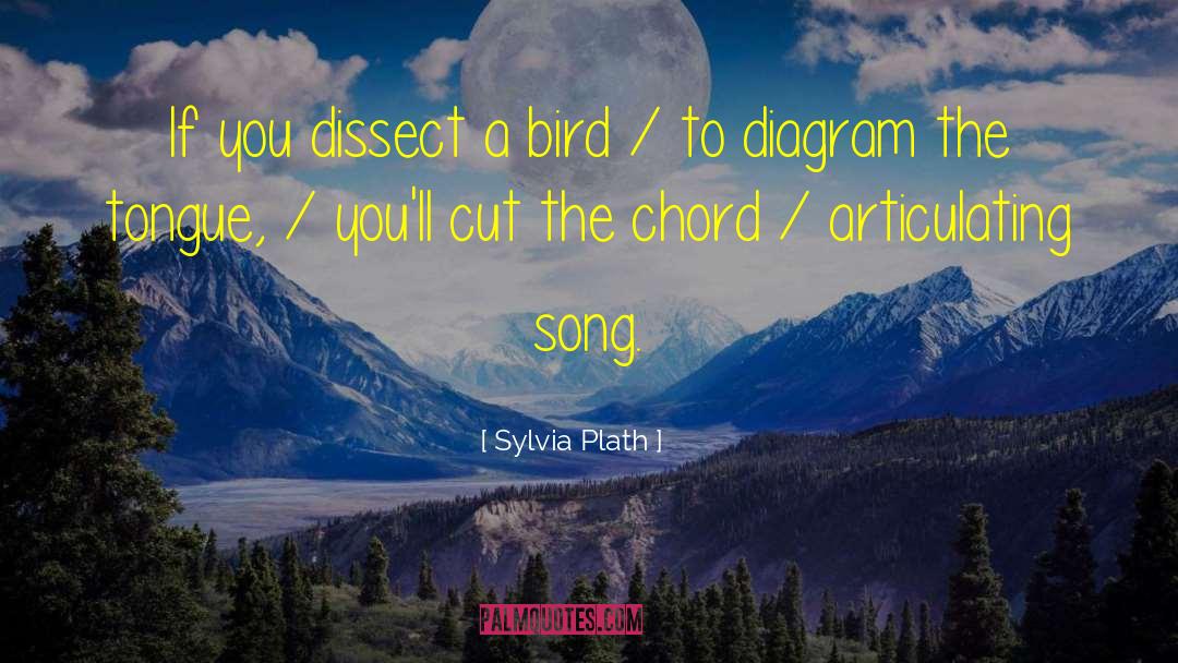 Dissect quotes by Sylvia Plath
