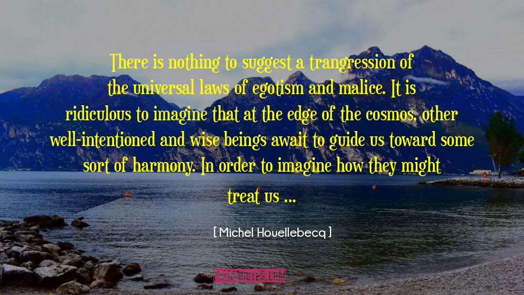 Dissection quotes by Michel Houellebecq