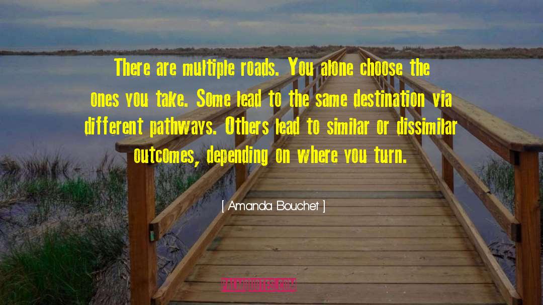 Dissimilar quotes by Amanda Bouchet