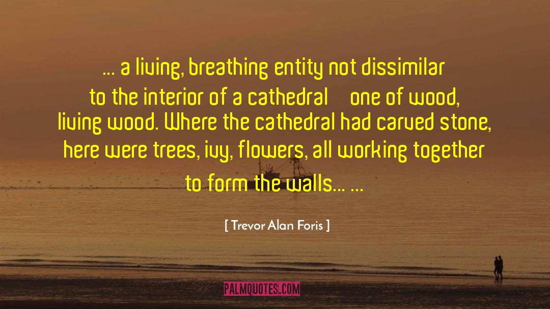 Dissimilar quotes by Trevor Alan Foris