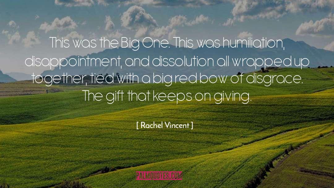 Dissolution quotes by Rachel Vincent
