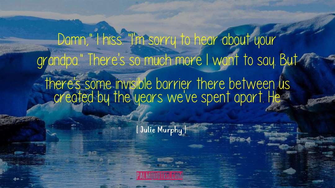 Distance Apart quotes by Julie Murphy