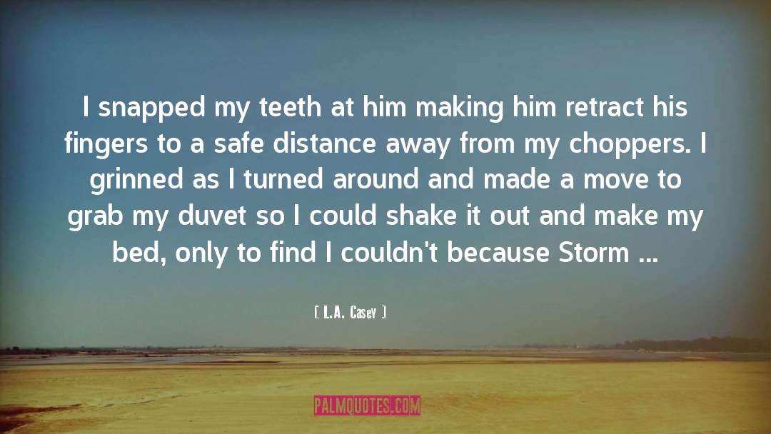 Distance In Relationship quotes by L.A. Casey