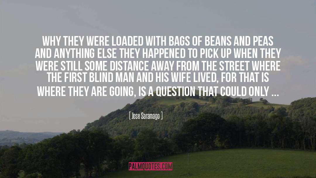 Distance quotes by Jose Saramago