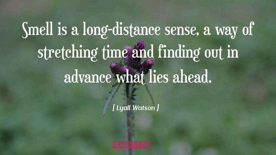 Distance quotes by Lyall Watson