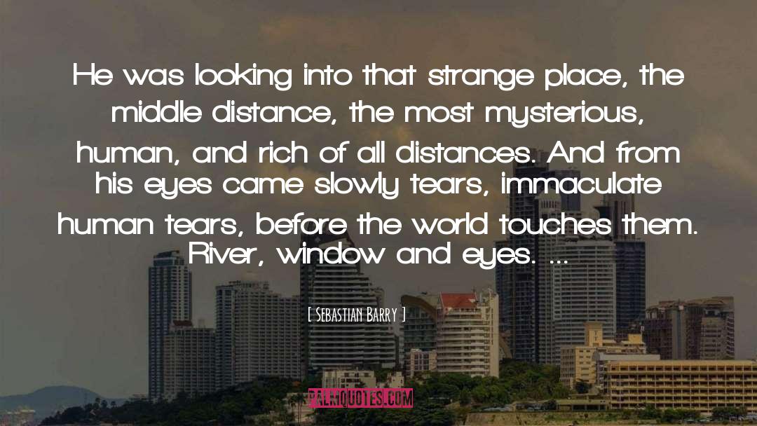 Distance Relationship quotes by Sebastian Barry