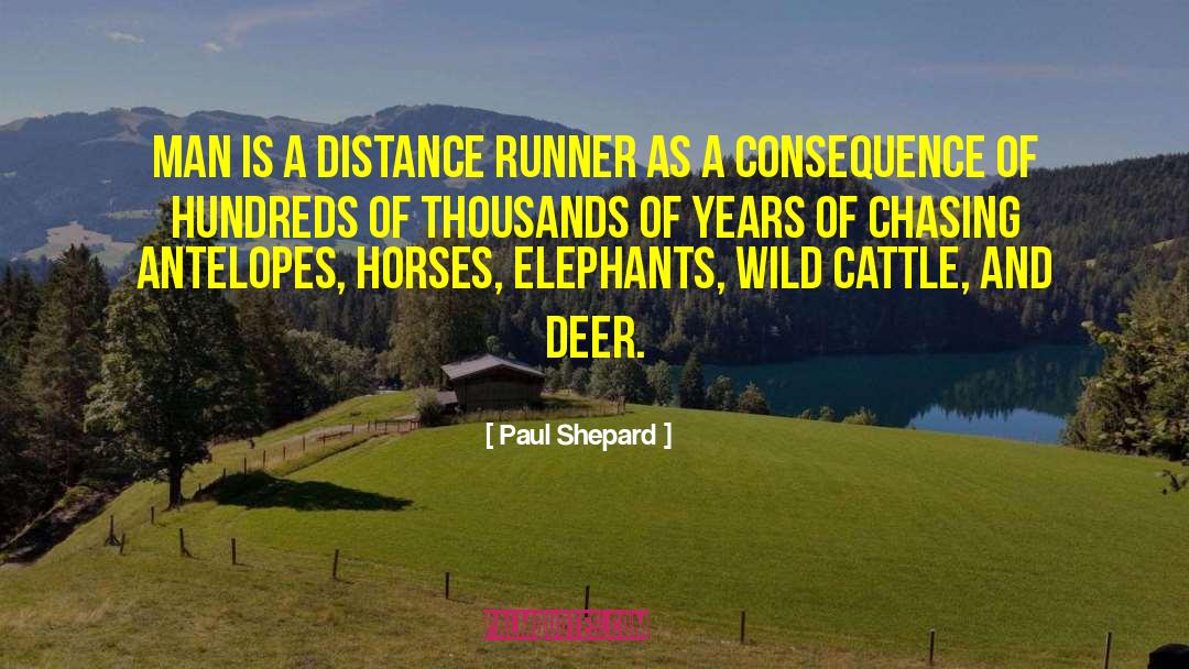 Distance Runner quotes by Paul Shepard