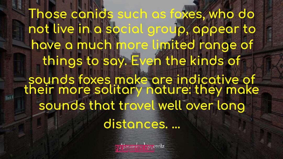 Distances quotes by Alexandra Horowitz