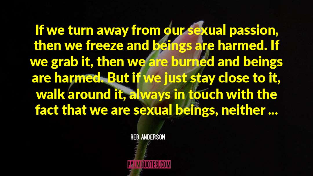 Distancing quotes by Reb Anderson