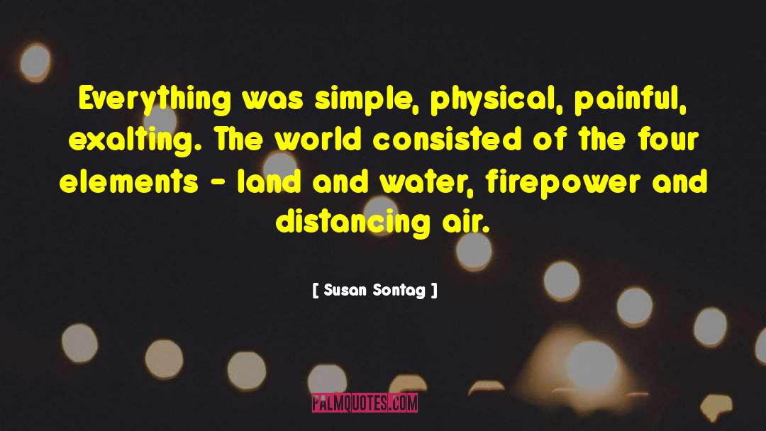 Distancing Self quotes by Susan Sontag