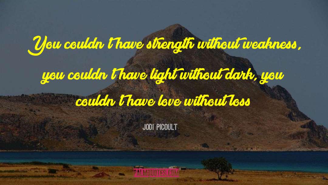 Distant Love Loss quotes by Jodi Picoult