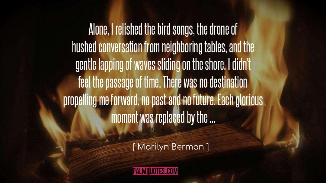 Distant Waves quotes by Marilyn Berman