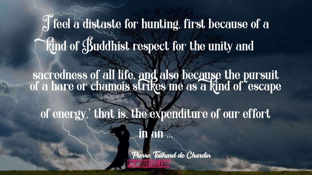 Distaste quotes by Pierre Teilhard De Chardin