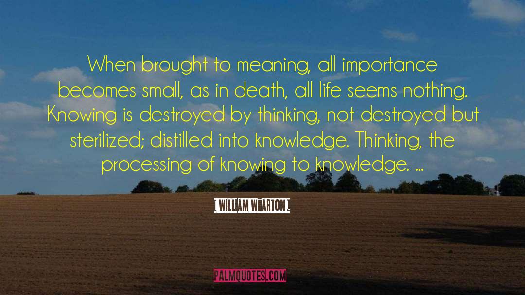 Distilled quotes by William Wharton