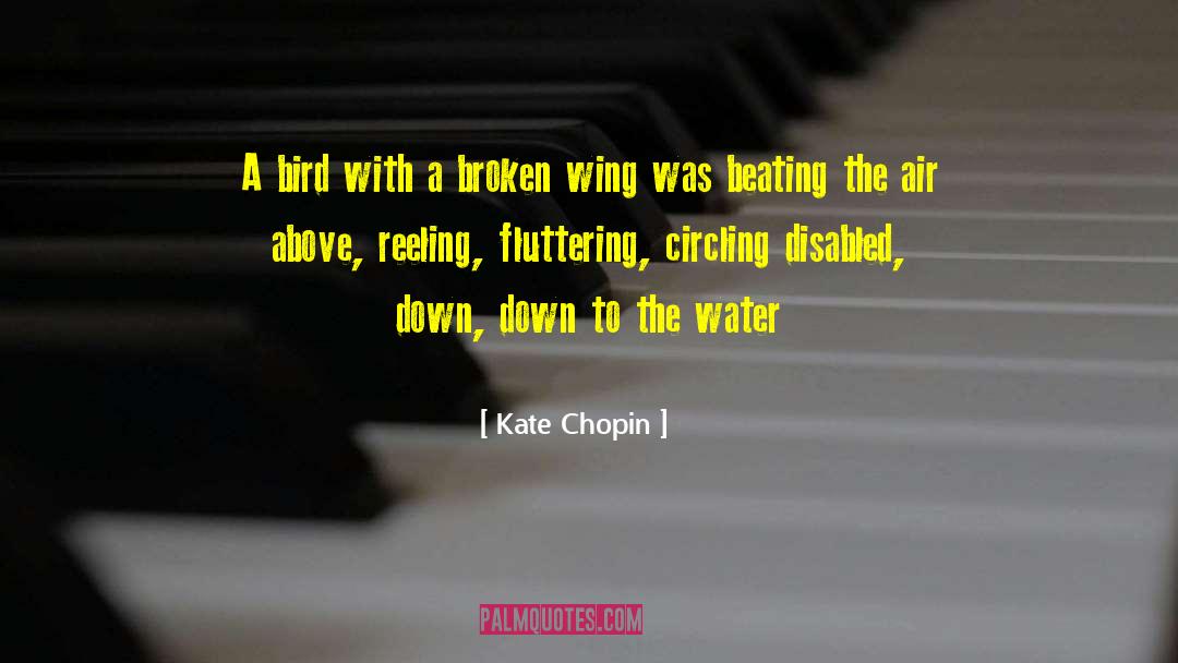 Distilled Water quotes by Kate Chopin
