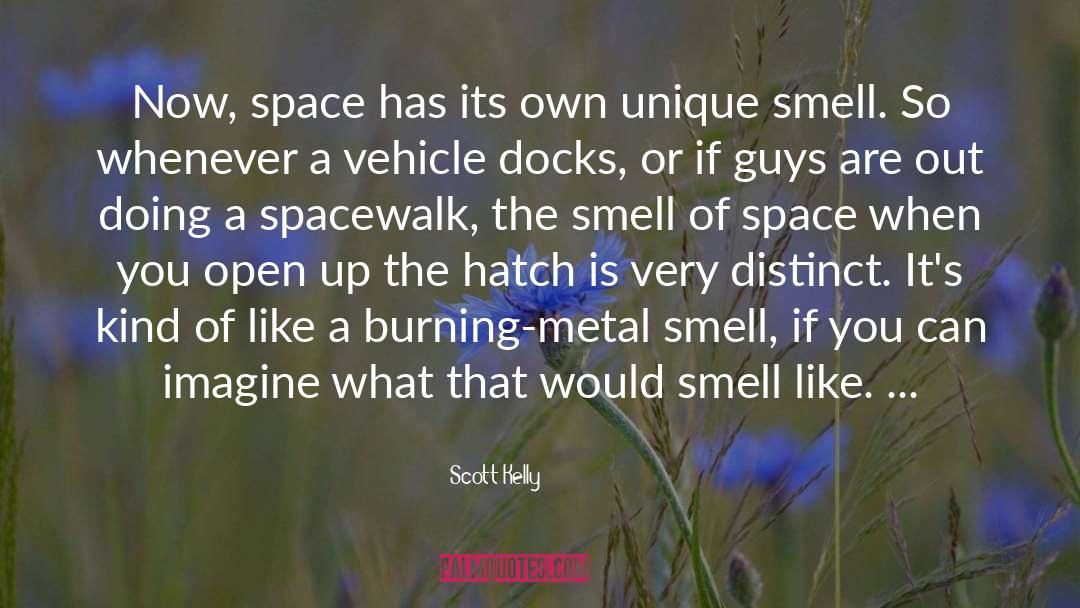 Distinct quotes by Scott Kelly