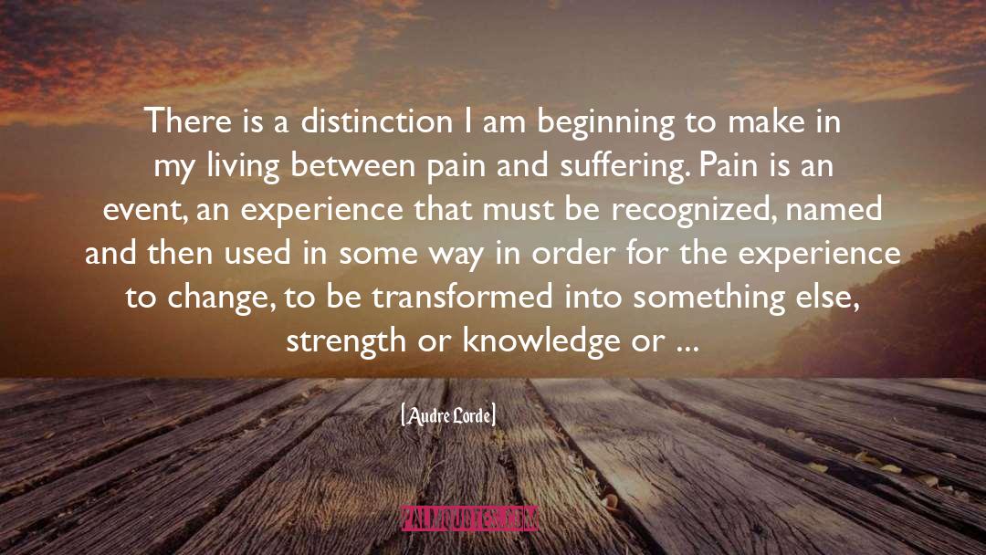 Distinction quotes by Audre Lorde