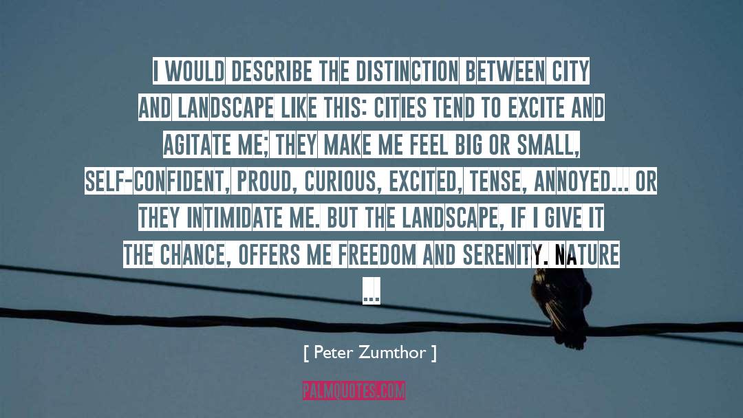 Distinction quotes by Peter Zumthor