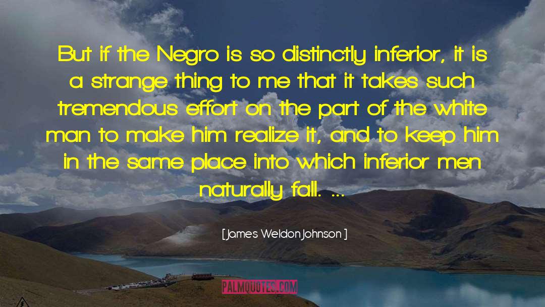 Distinctly quotes by James Weldon Johnson