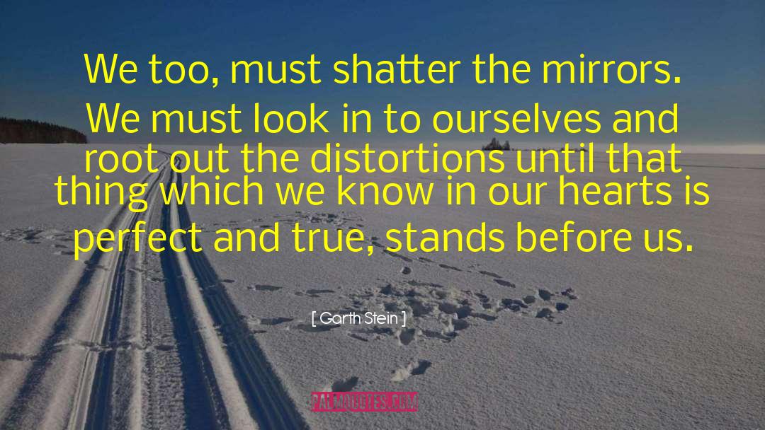 Distortions quotes by Garth Stein