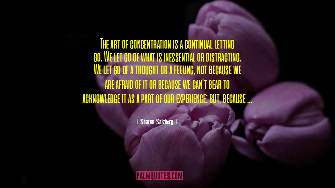Distracting quotes by Sharon Salzberg