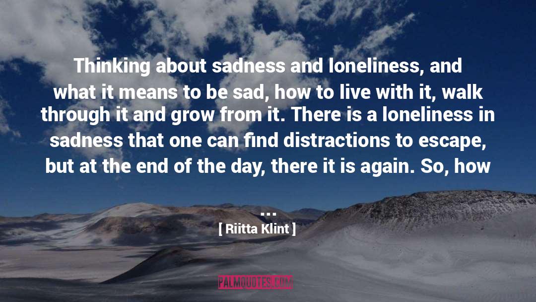 Distractions quotes by Riitta Klint