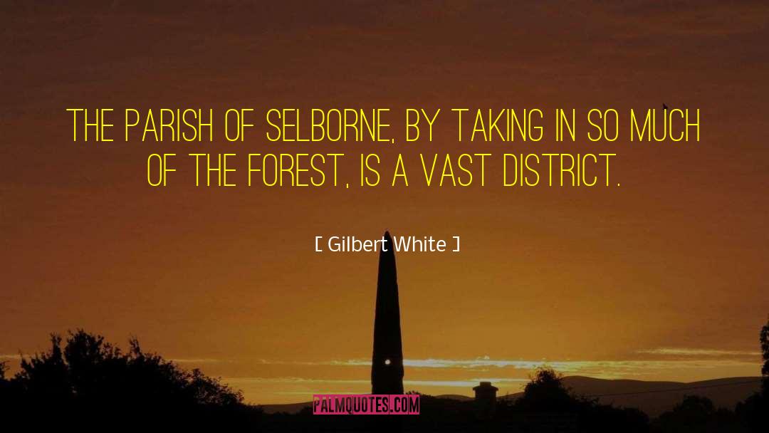 District 13 quotes by Gilbert White