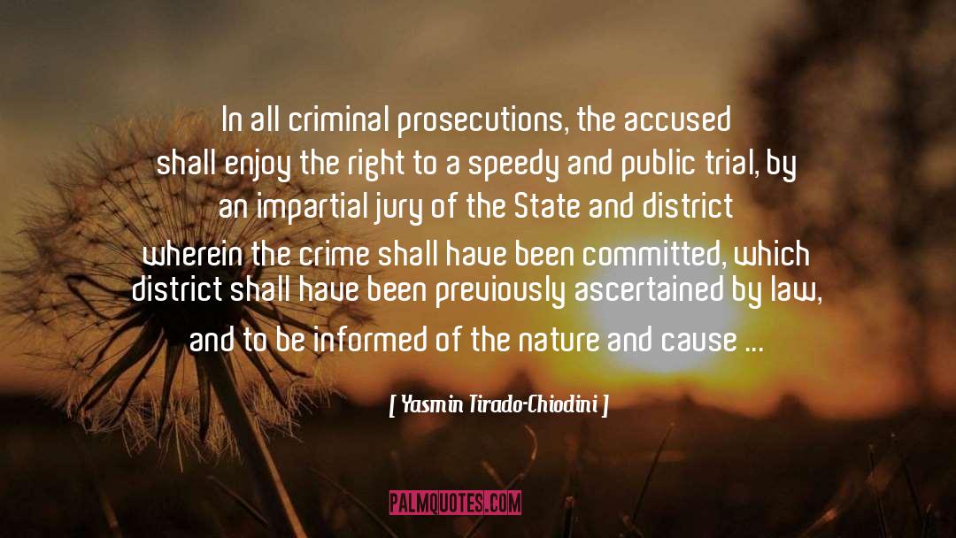 District Attorney quotes by Yasmin Tirado-Chiodini