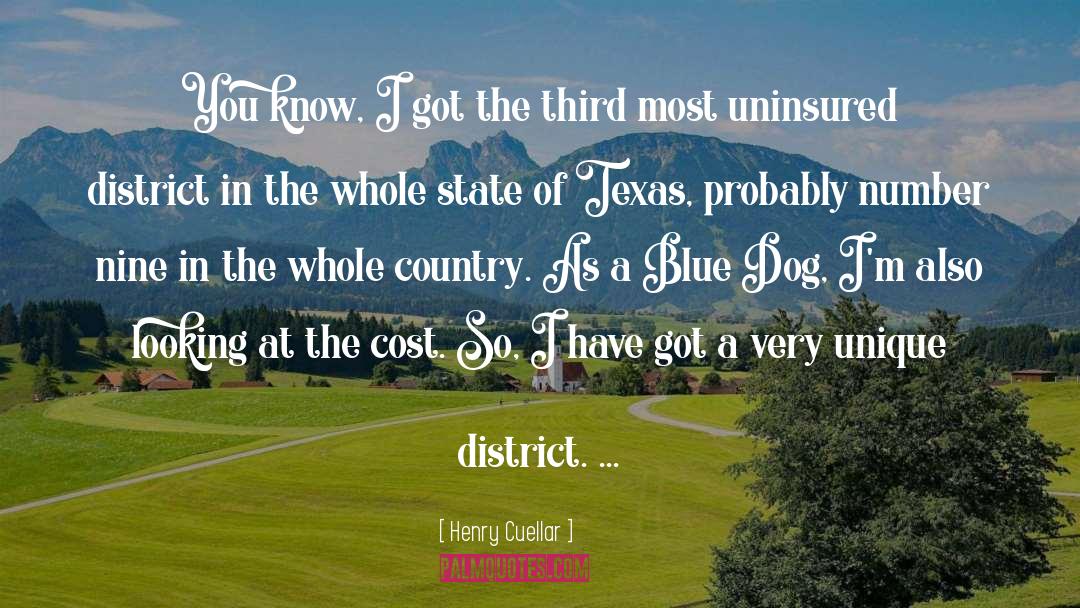 District quotes by Henry Cuellar