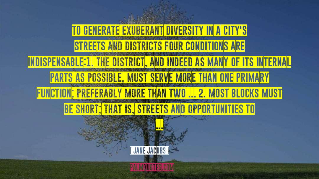Districts quotes by Jane Jacobs