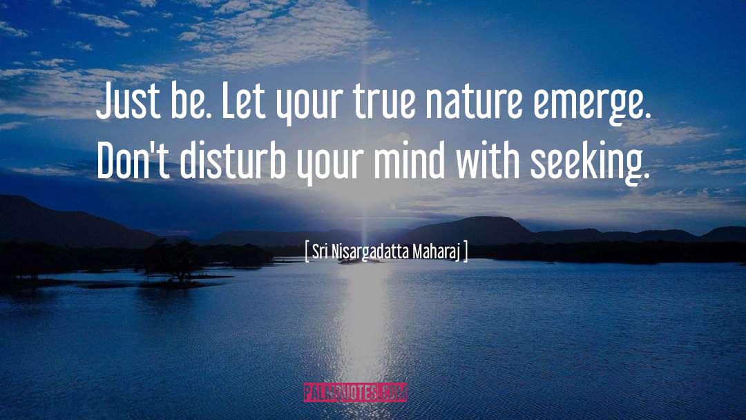 Disturb quotes by Sri Nisargadatta Maharaj