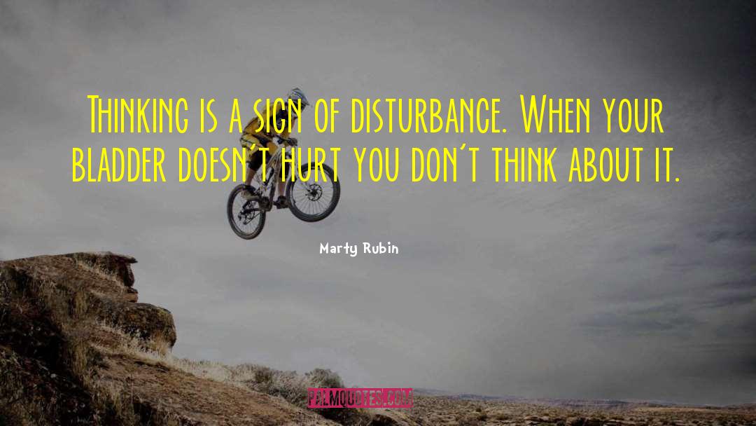 Disturbance quotes by Marty Rubin